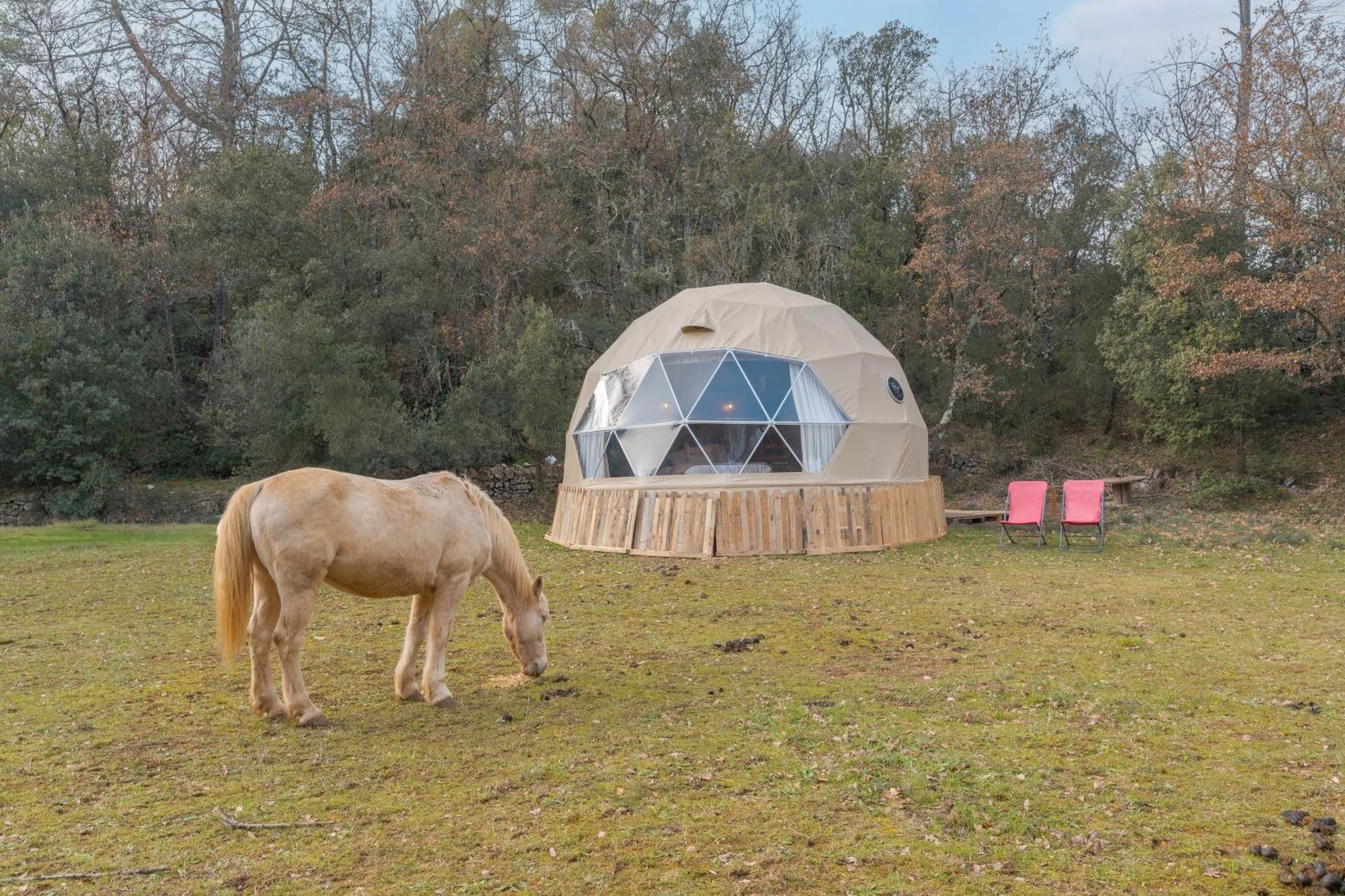 La Cabane Aux Chevaux Varages Dış mekan fotoğraf