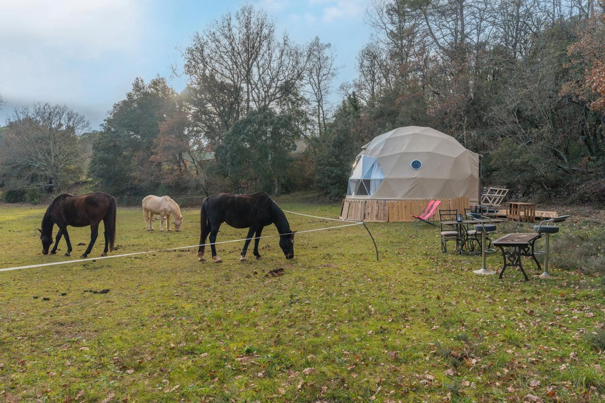 La Cabane Aux Chevaux Varages Dış mekan fotoğraf